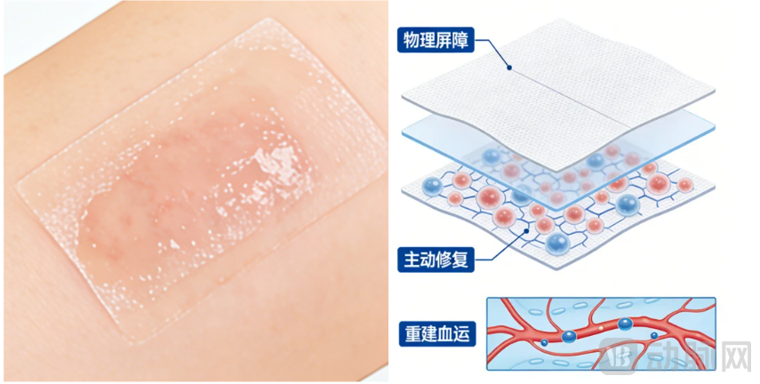 组合图2.png