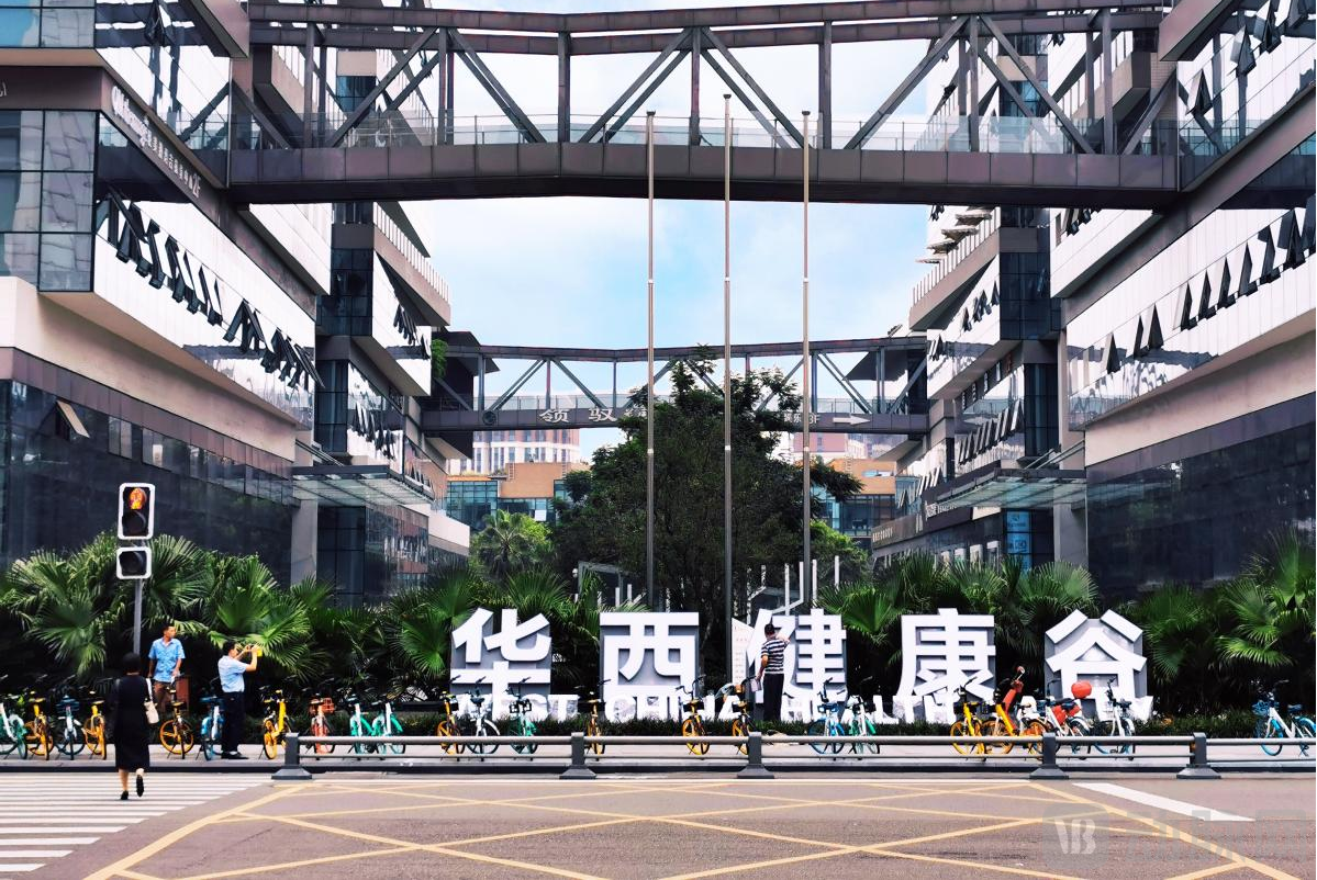 华西智慧谷.png