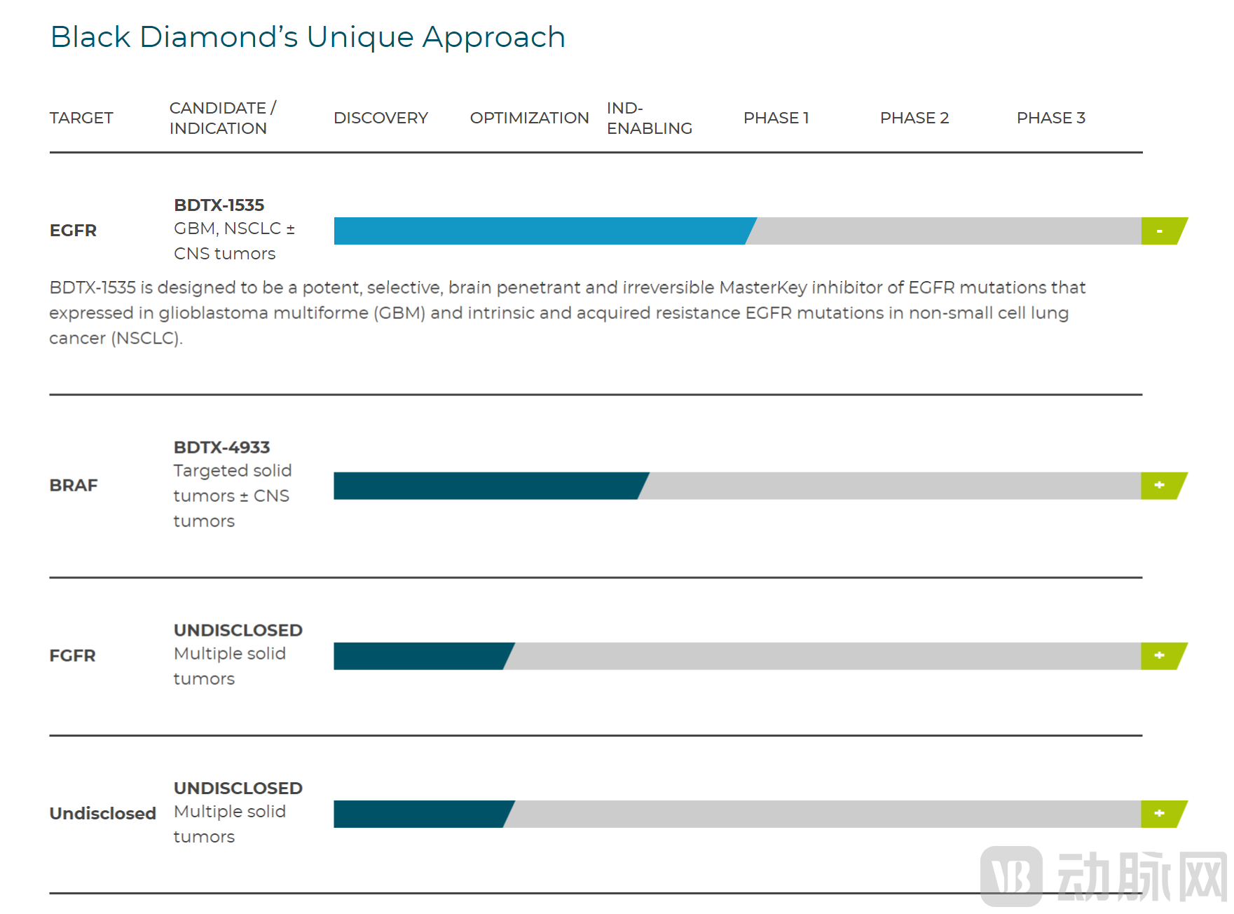 Pipeline • Black Diamond Therapeutics.png