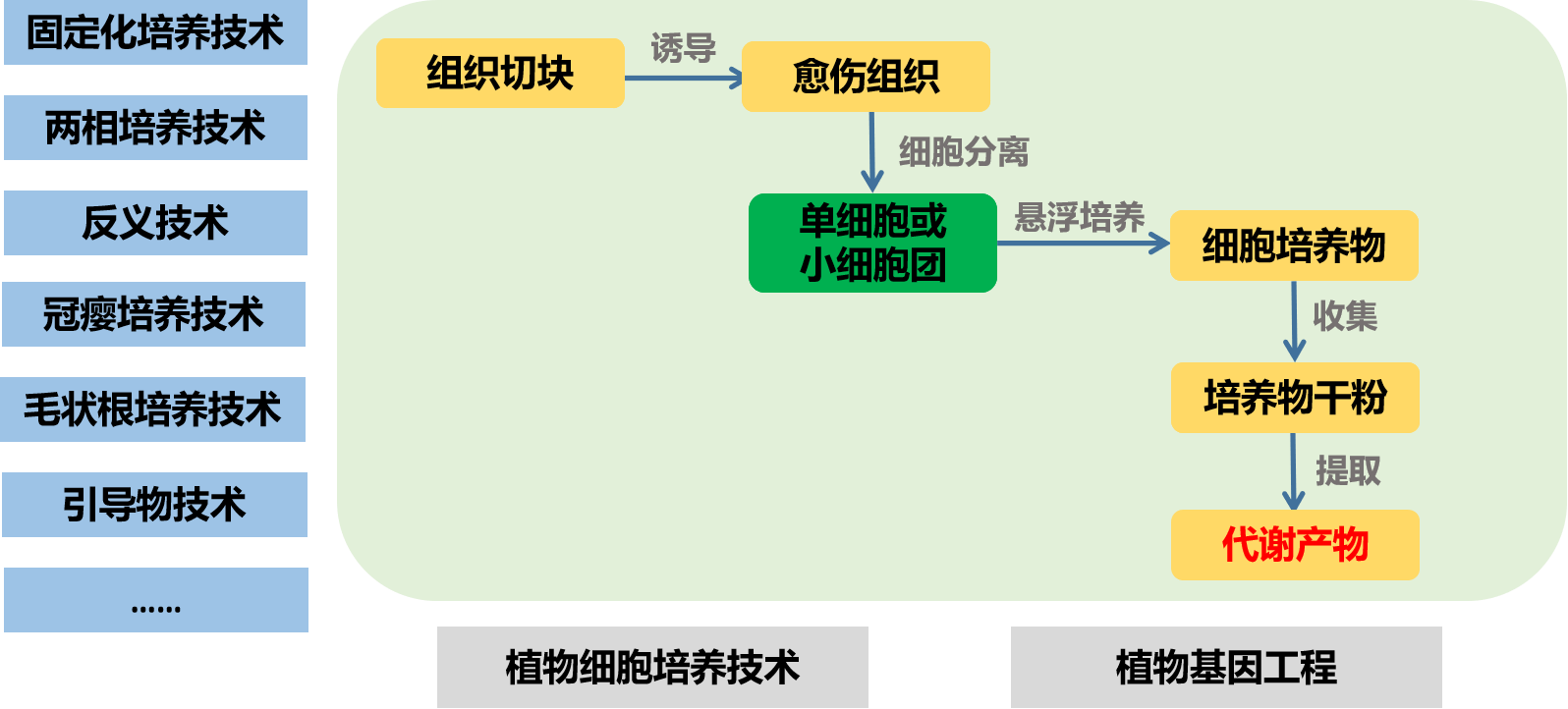 图片12.png