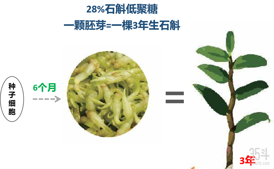 图片13.png