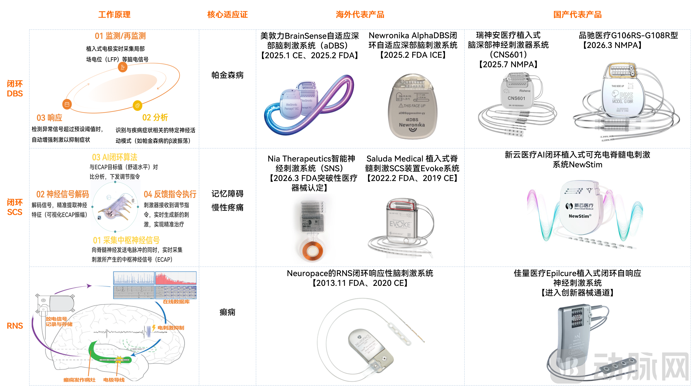 神经调控.png