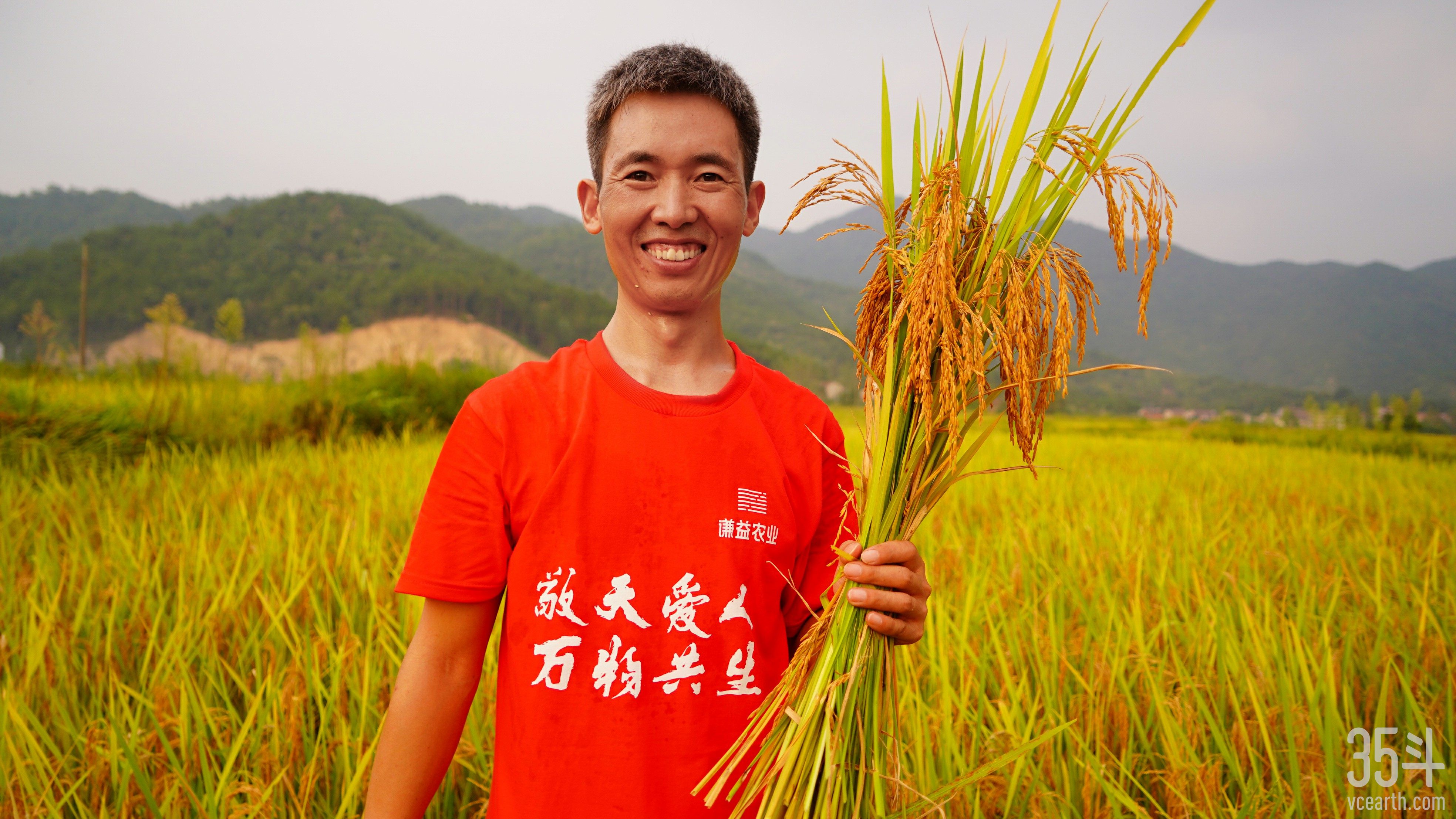5李明攀割稻子.JPG