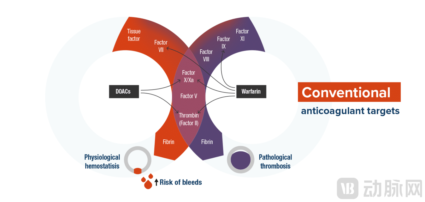 传统抗凝剂作用示意图1.5.png