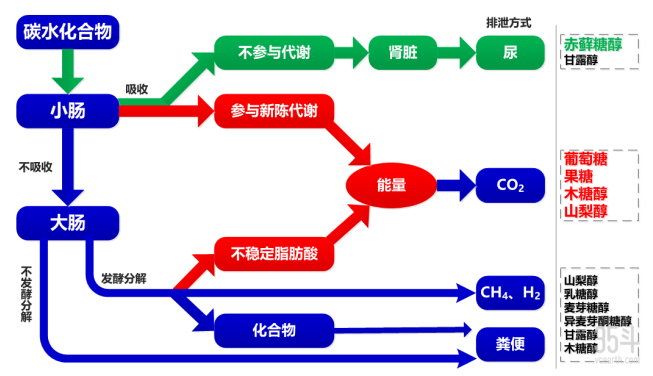 代谢路径.png