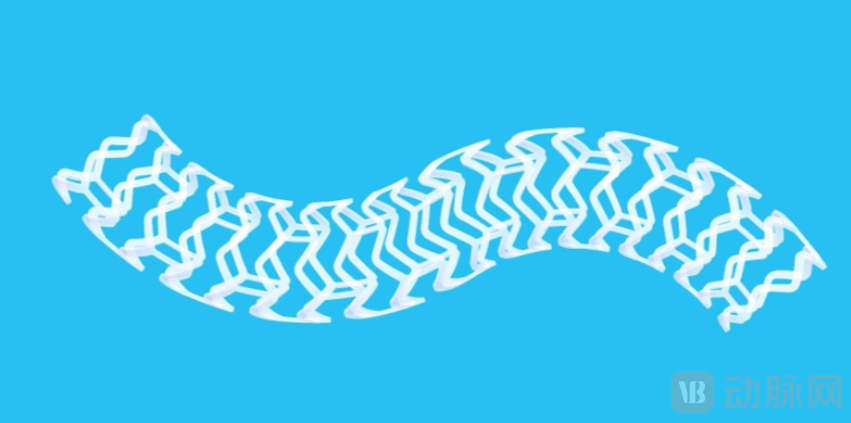 FireShot Capture 084 - Bioresorbable Polymers for Vascular Scaffolds - REVA - www.revamedical.com.png