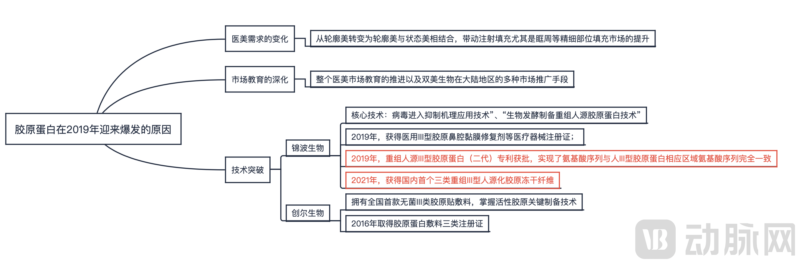 胶原蛋白爆发原因.png