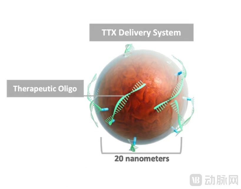 TTX纳米颗粒.jpg