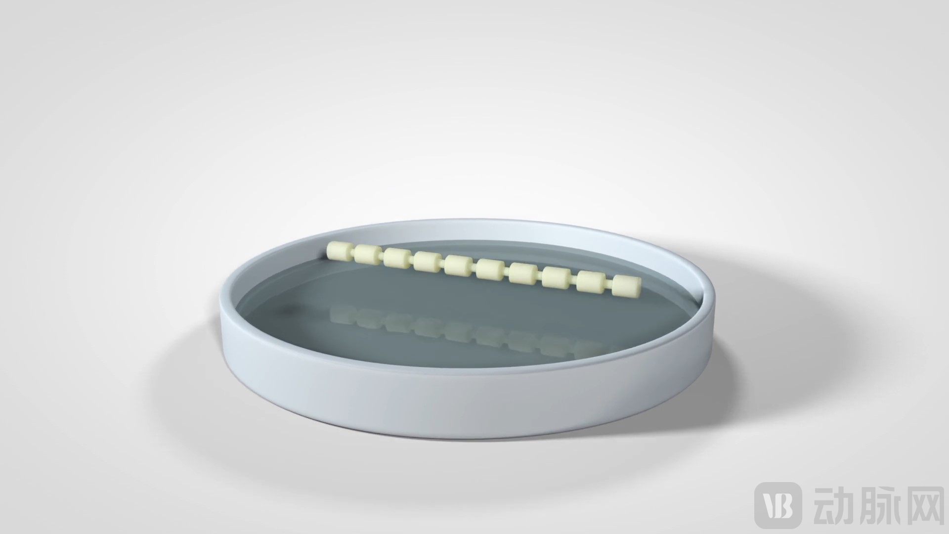 OsteoPearl 植入物.jpg