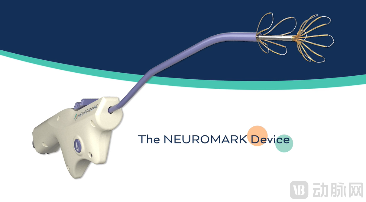 NeuroMark系统.png