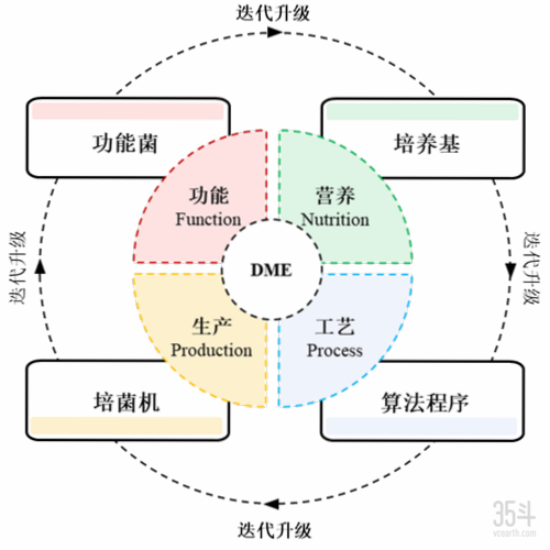 绿氮生物图片1_副本.png