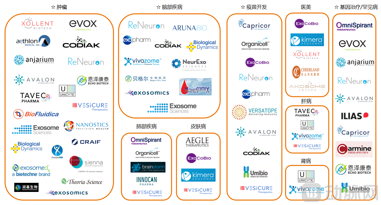 外泌体产业图谱.png