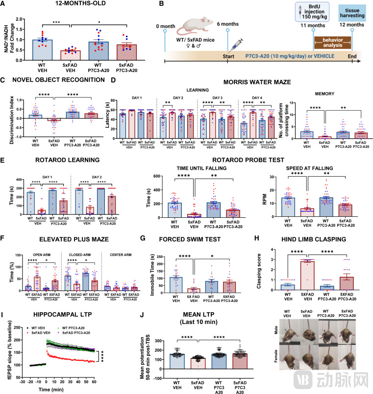 image - 2025-12-29T133631.937.png