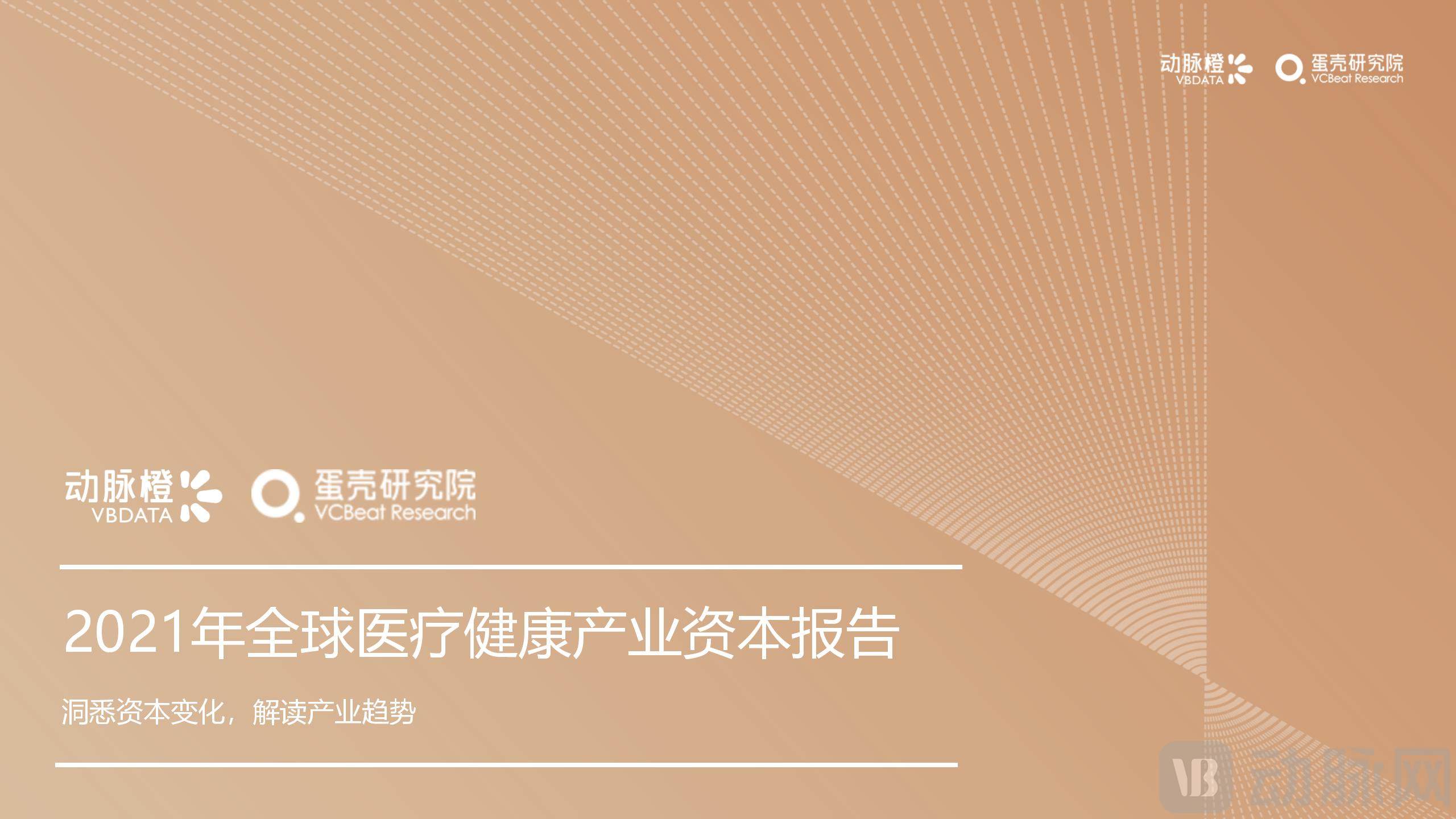 2021年全球医疗健康产业资本报告（已校对）(1)_01.jpg