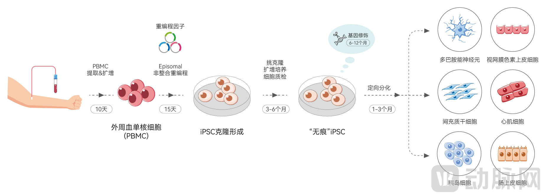 图片1无水印.jpg