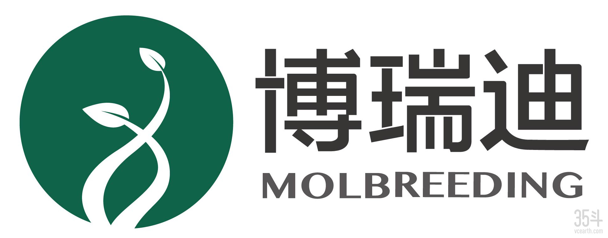 博瑞迪最新logo.jpg