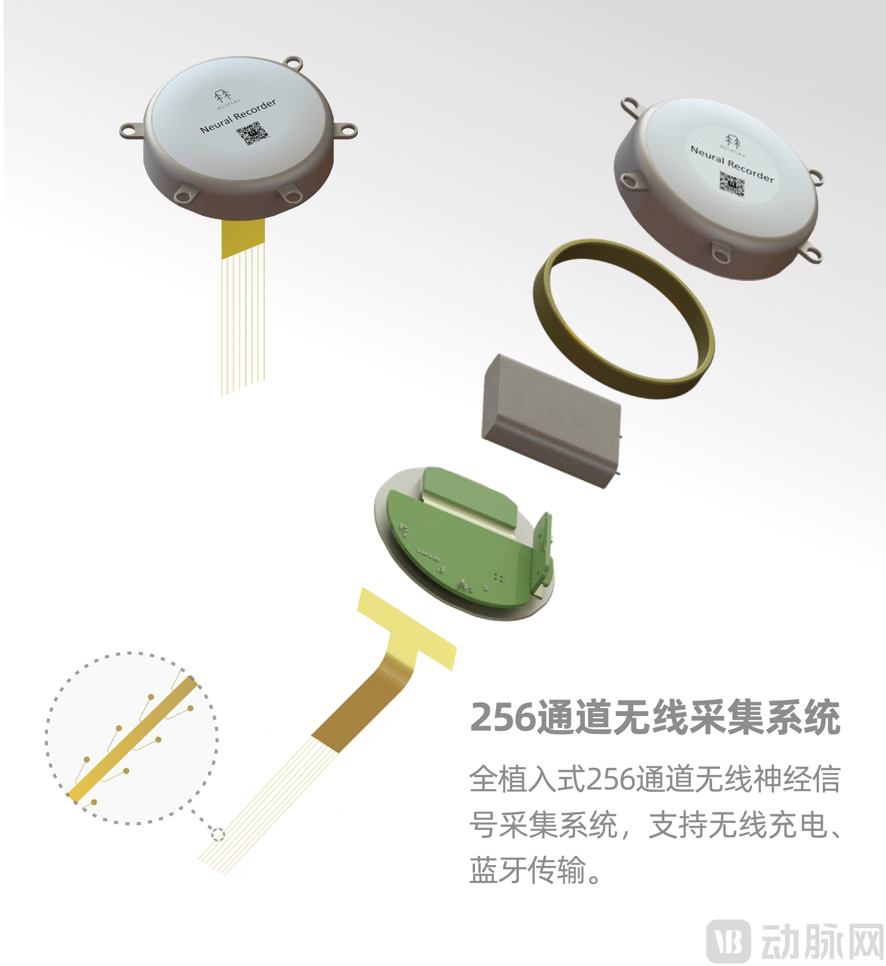 微信图片_20241212164624.jpg