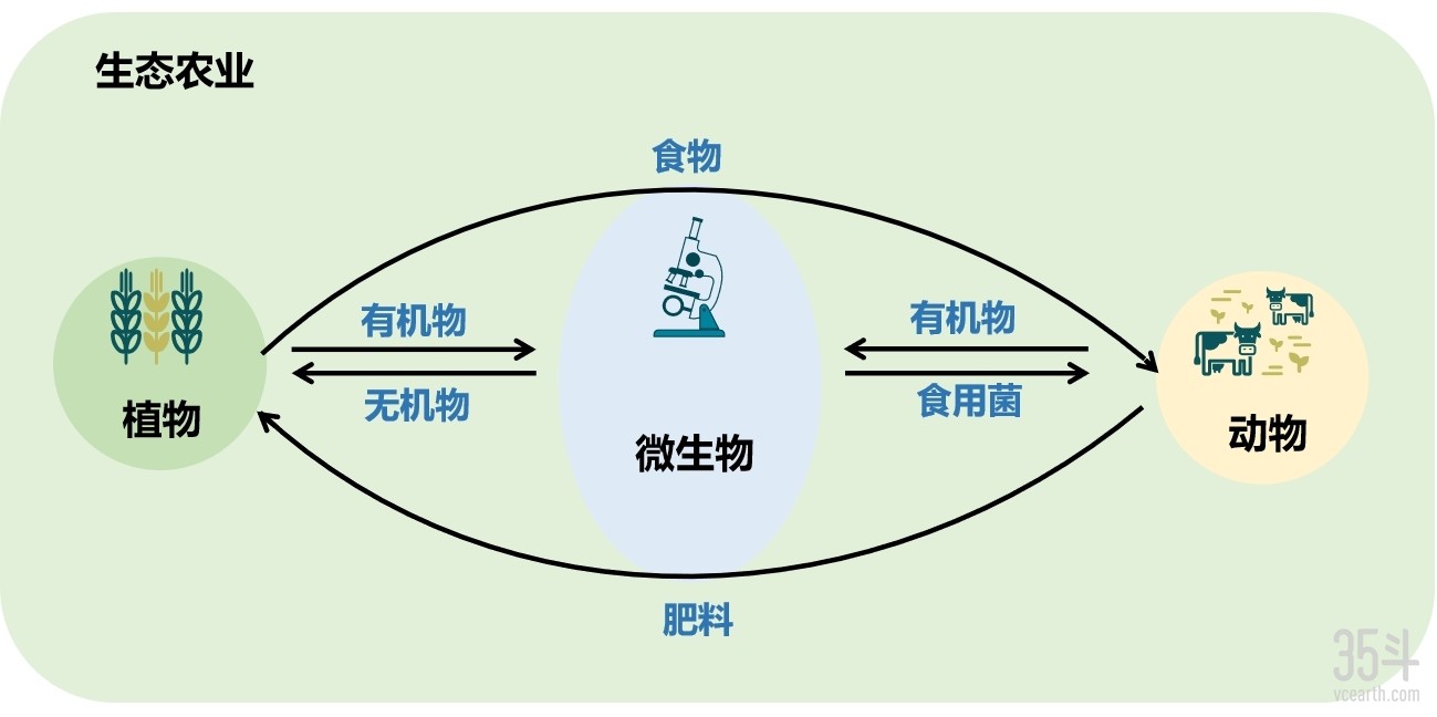 植物动物微生物-终.jpg