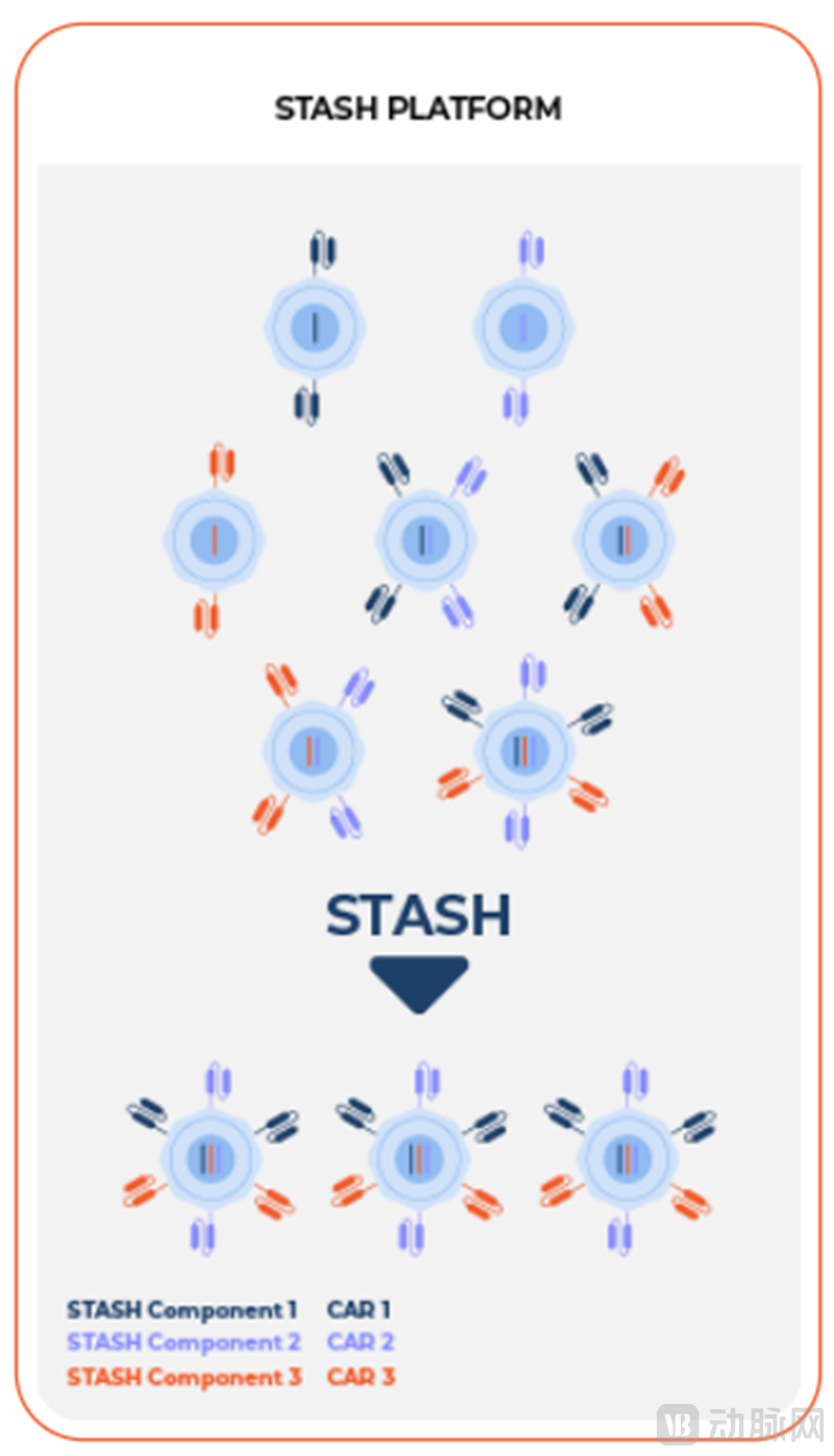 STASHGAS 技术支持下一代多重单元工程.png