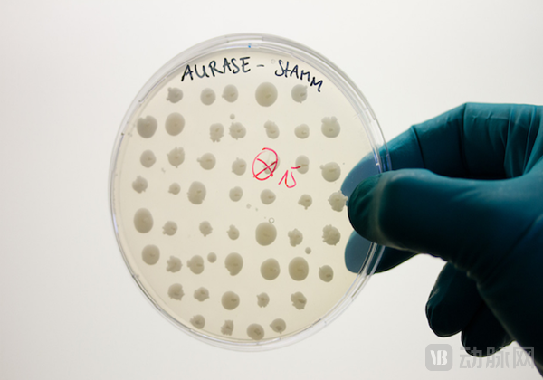 Thought Leadership image SolasCure.png