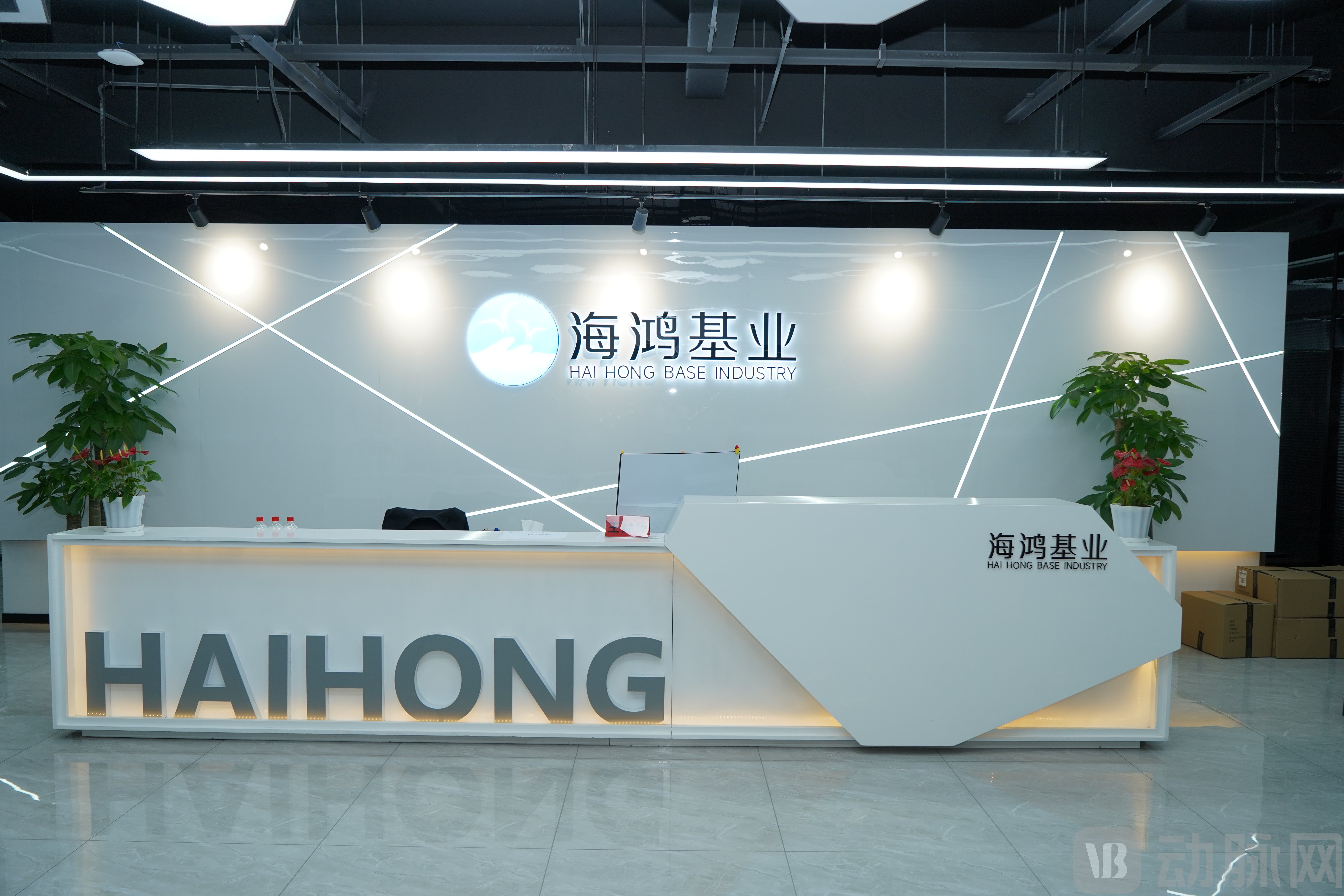 海鸿基业前台.jpg