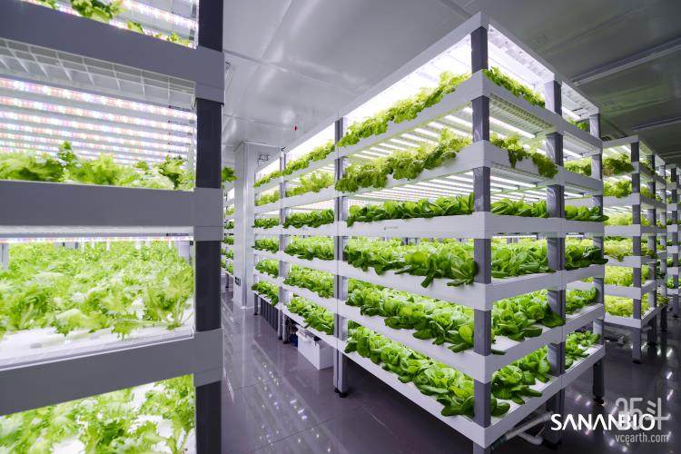 中科三安1植物工厂及模组.jpg