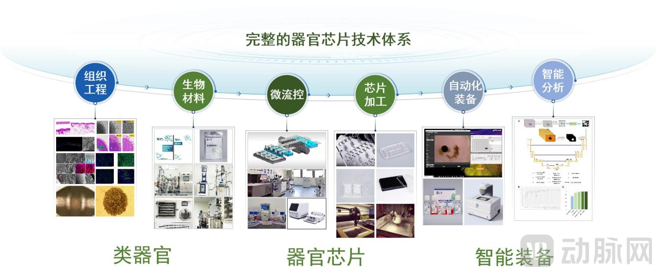 图片 3.png