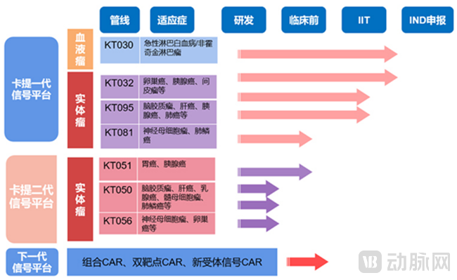 卡提医学研发管线.png