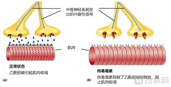 微信图片_20241016164857.png