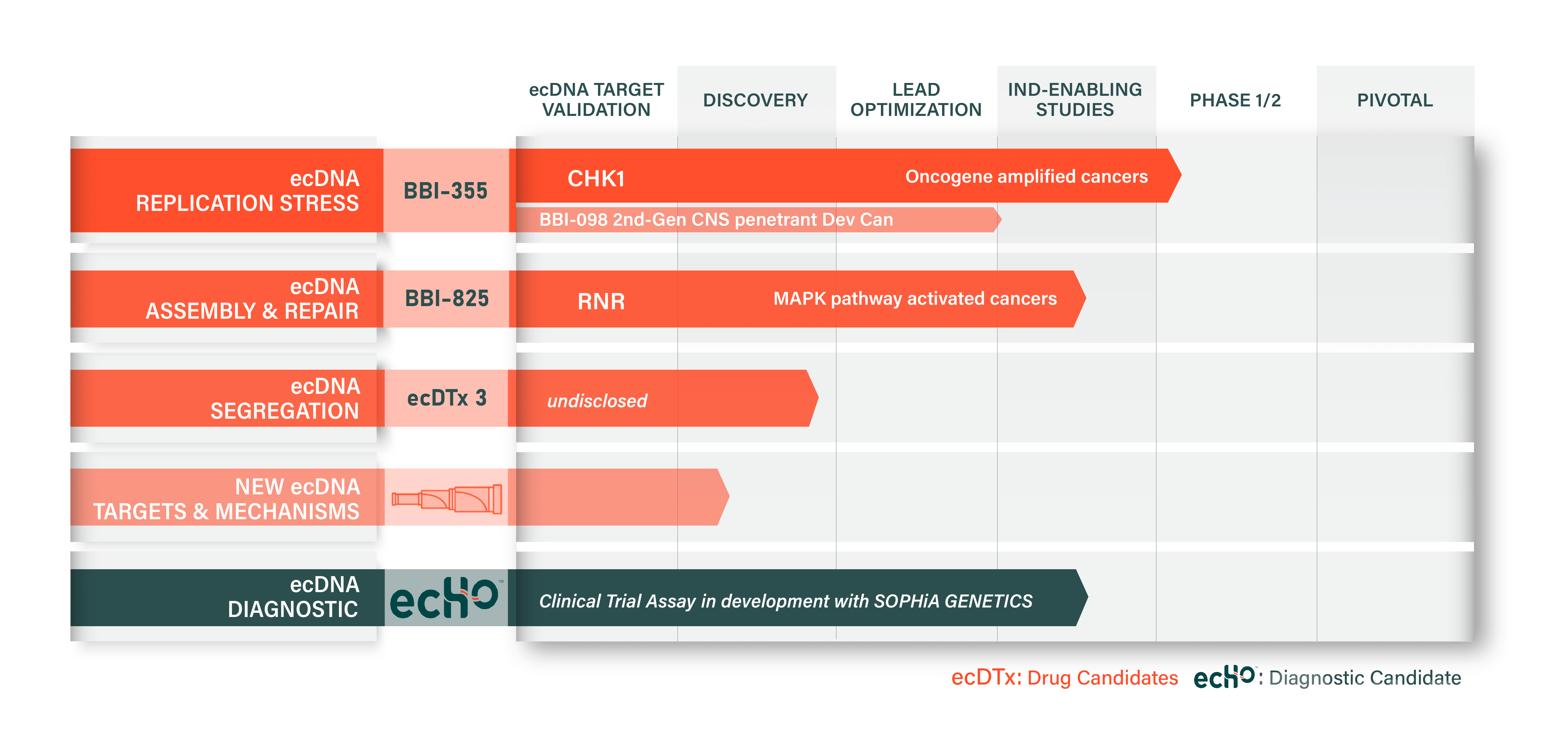 BBio_Pipeline_Diagram_Spyglass_Template_8.10.png