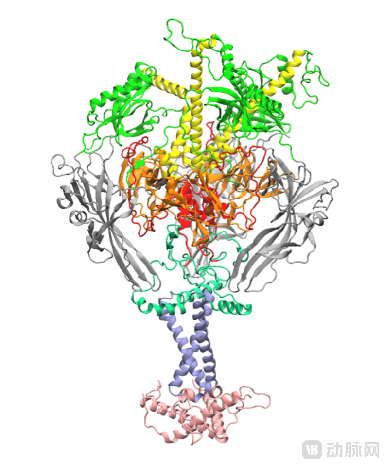 image - 2025-12-17T104929.468.png