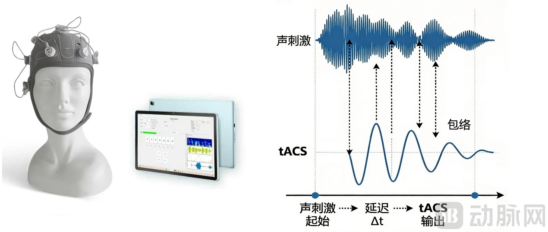 南粟.png