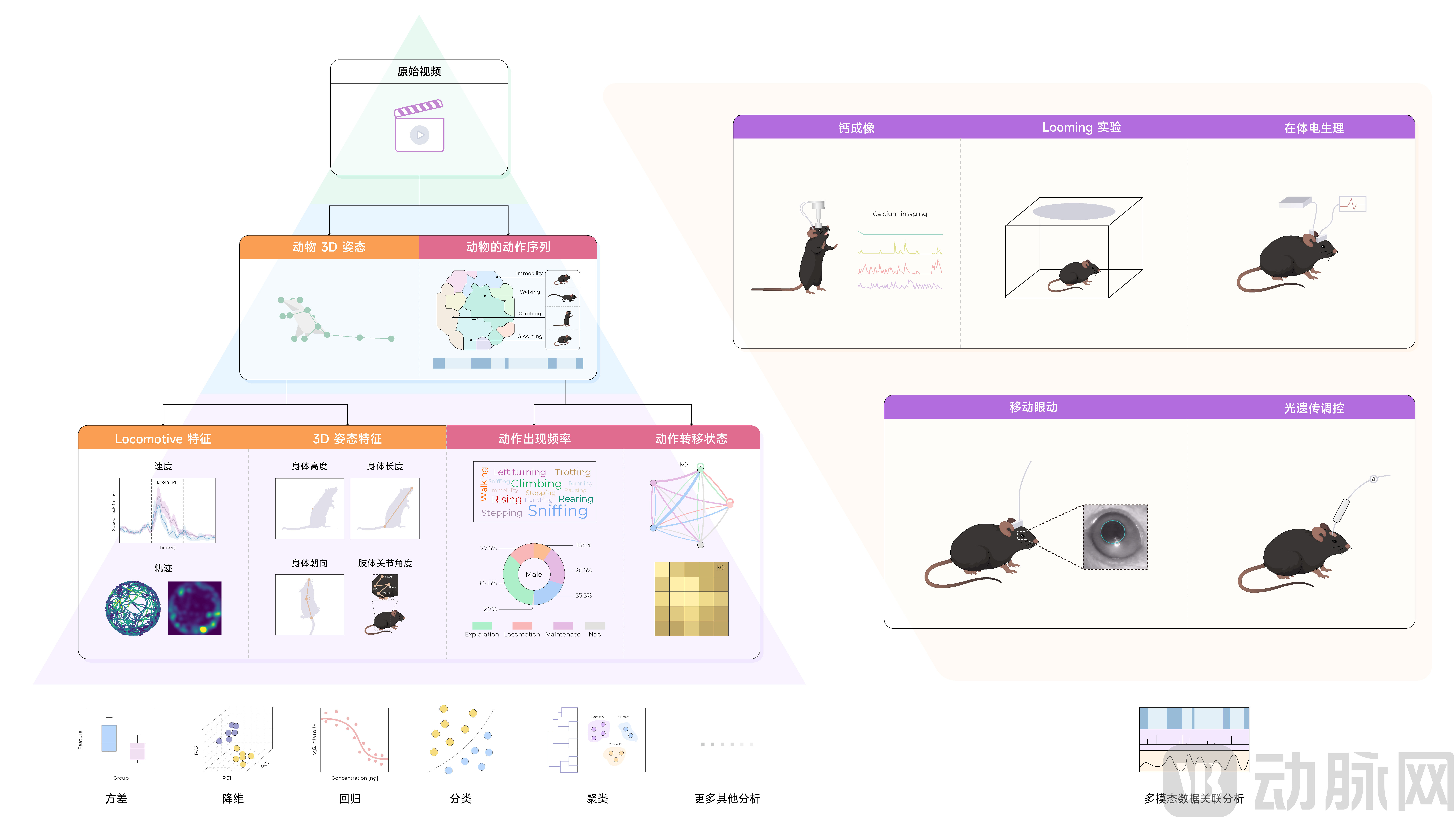 一湾-产品示意.jpg