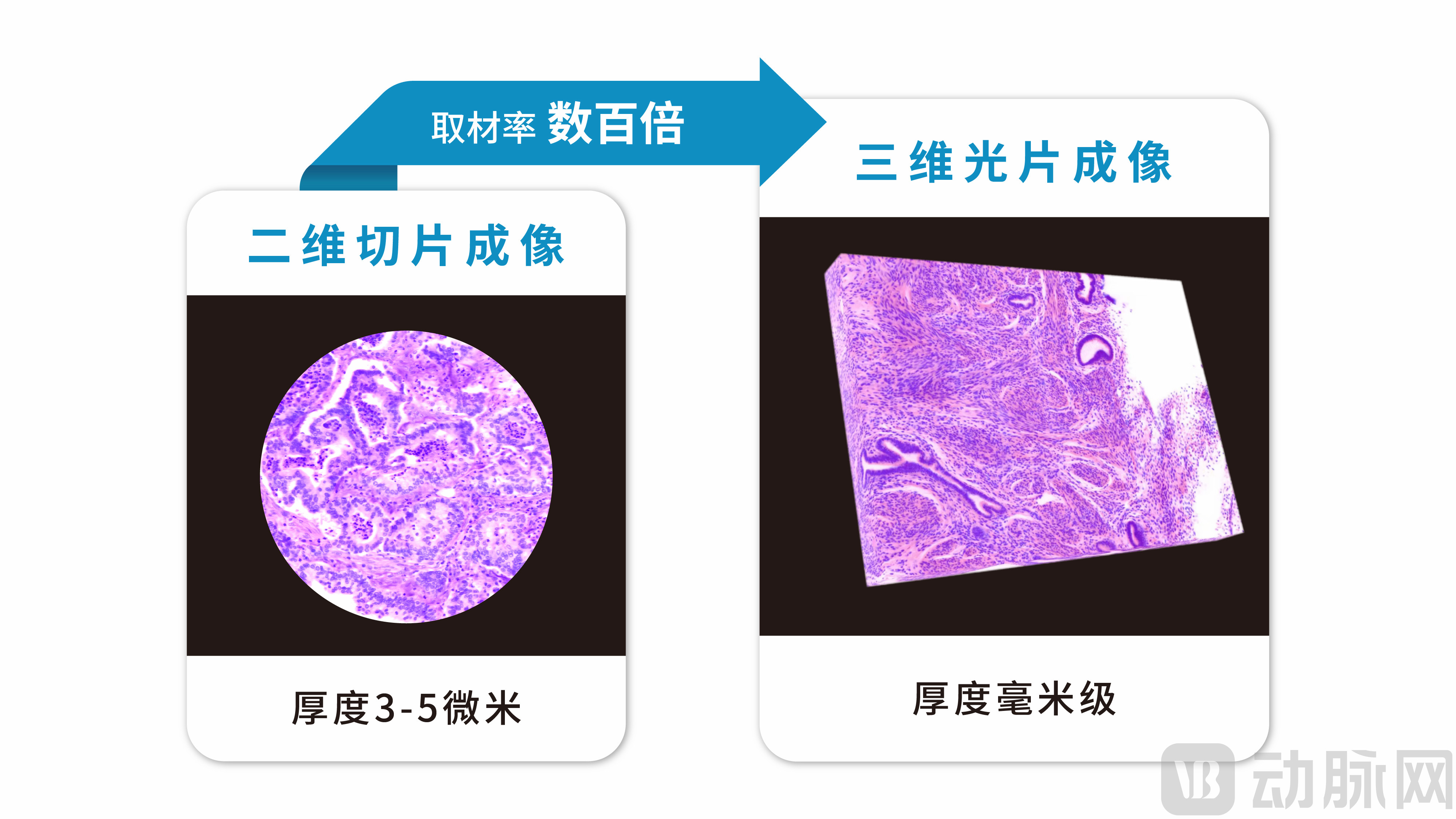 f71730e5764ecc725d9fe48bc62f76e0.jpg
