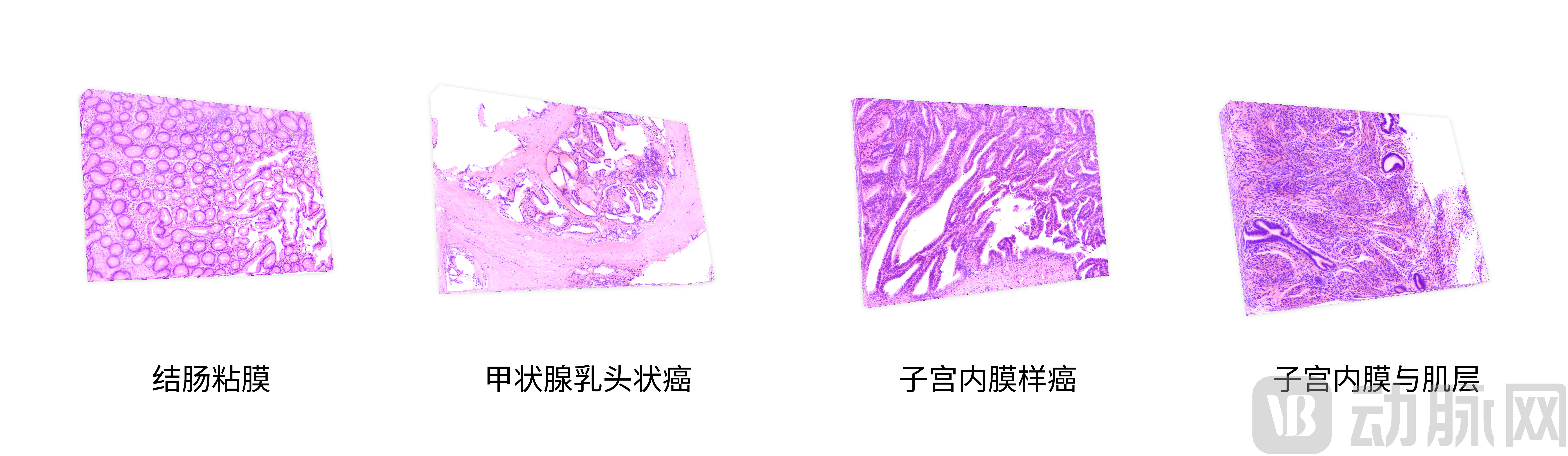 3cbd5ea27c0bc5f1a52e455a19443756.jpg