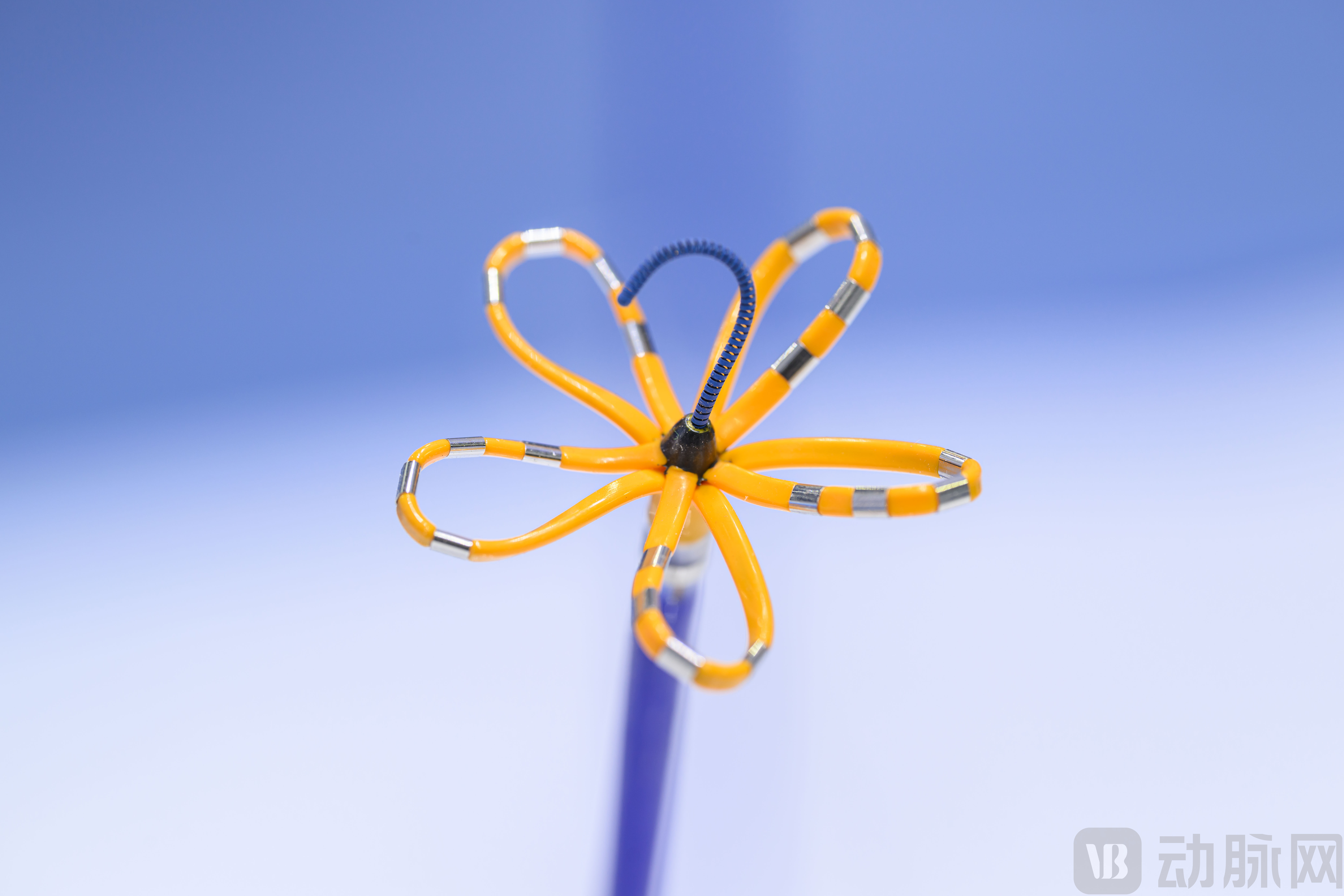 FARAWAVE NAV一次性使用磁定位心脏脉冲电场消融（PFA）导管.jpg