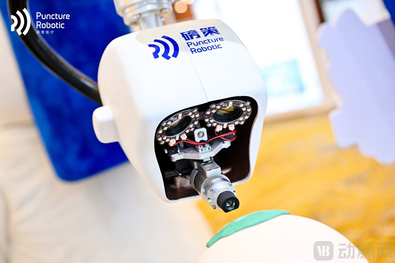 2_1600_3000_gif (2).jpg