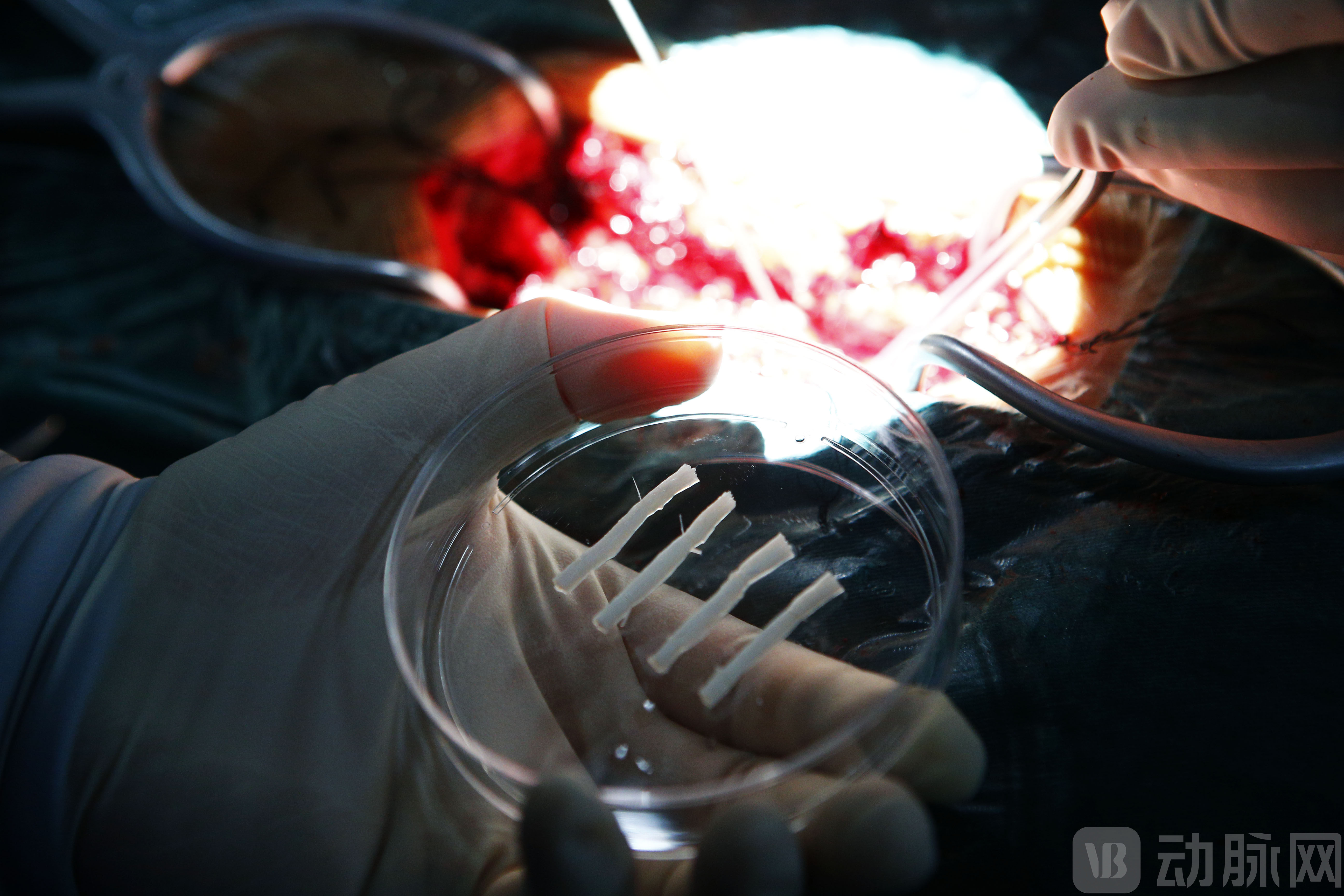 44d0da9bd5f49523d821a5a77f0361de (1).jpg