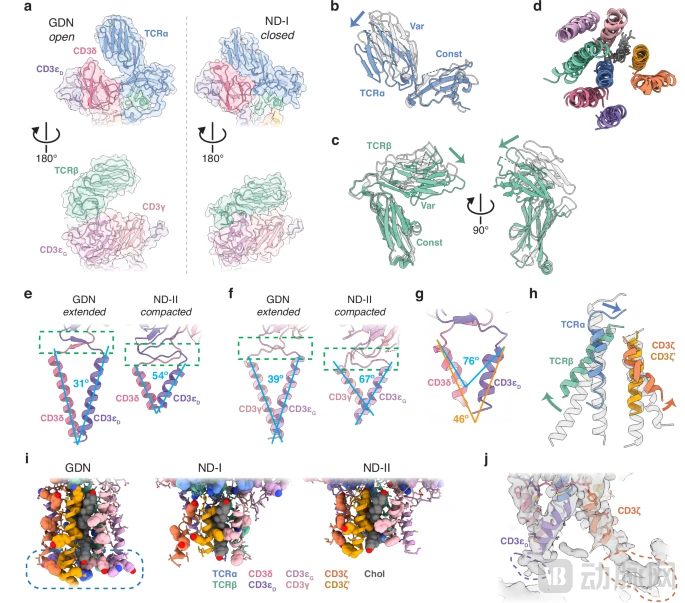 image - 2025-12-24T135854.302.png