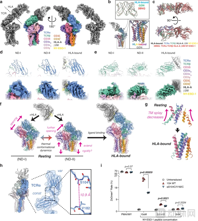 image - 2025-12-24T135856.396.png