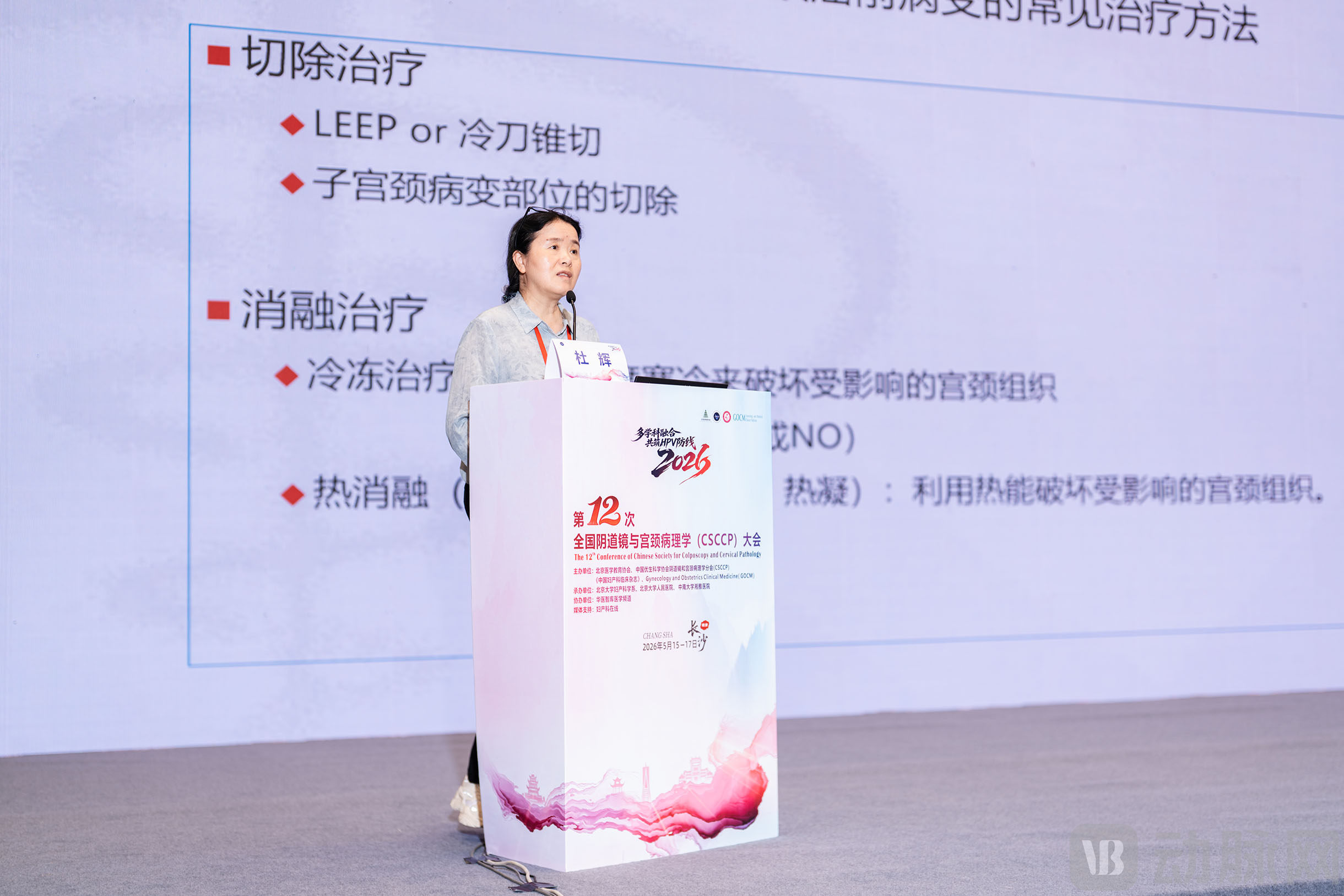杜辉教授_分论坛.jpg