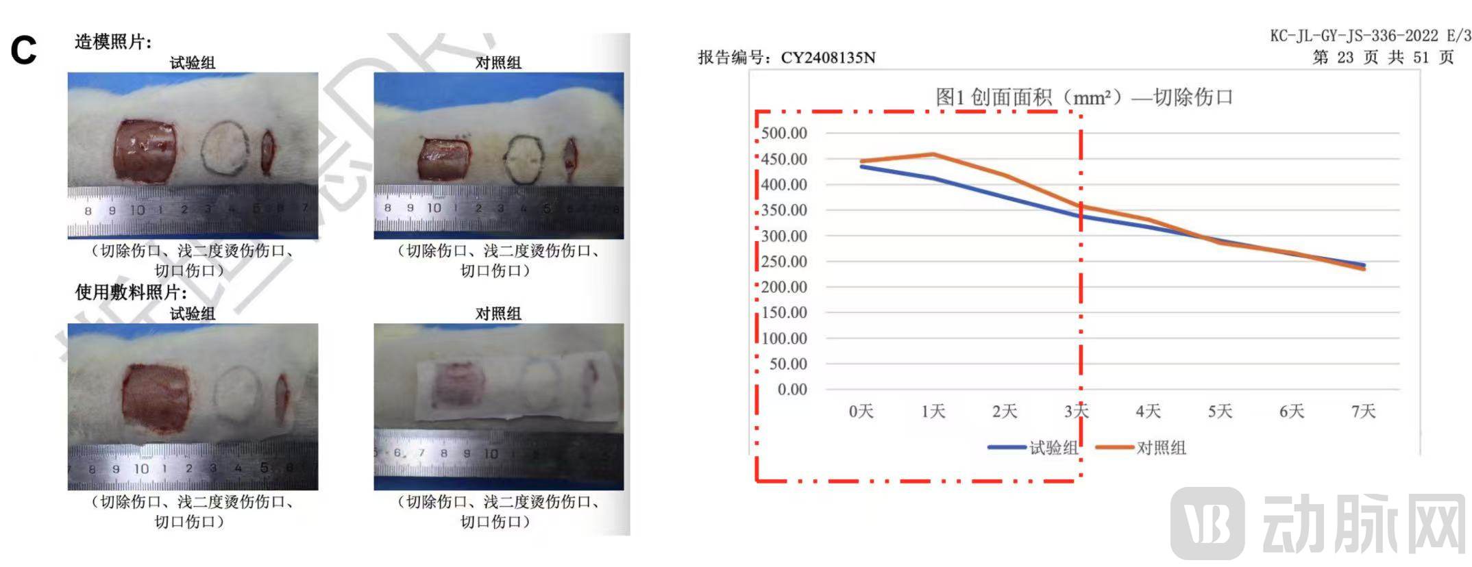 创面动物试验.jpg