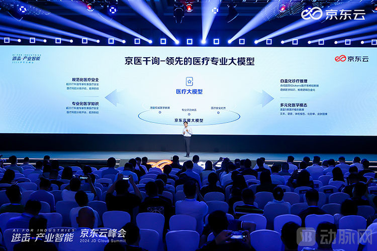 图片4大模型.jpg