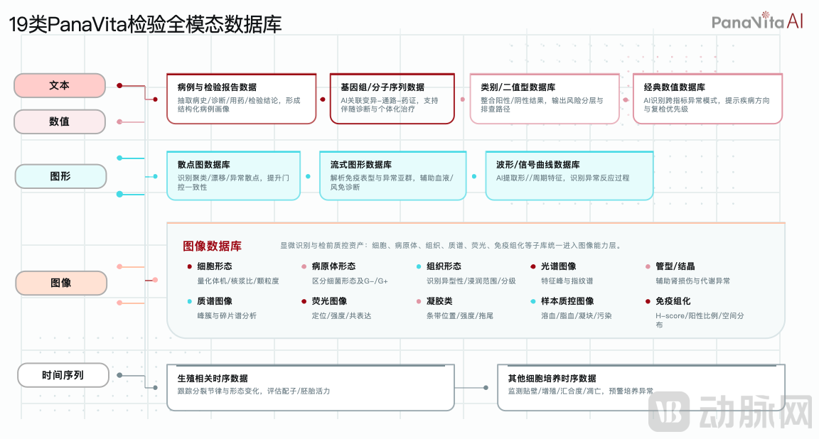 小蝇数据库2.png