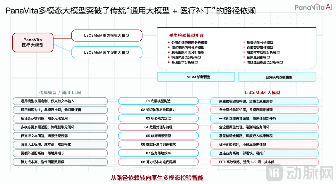 小蝇原生.png