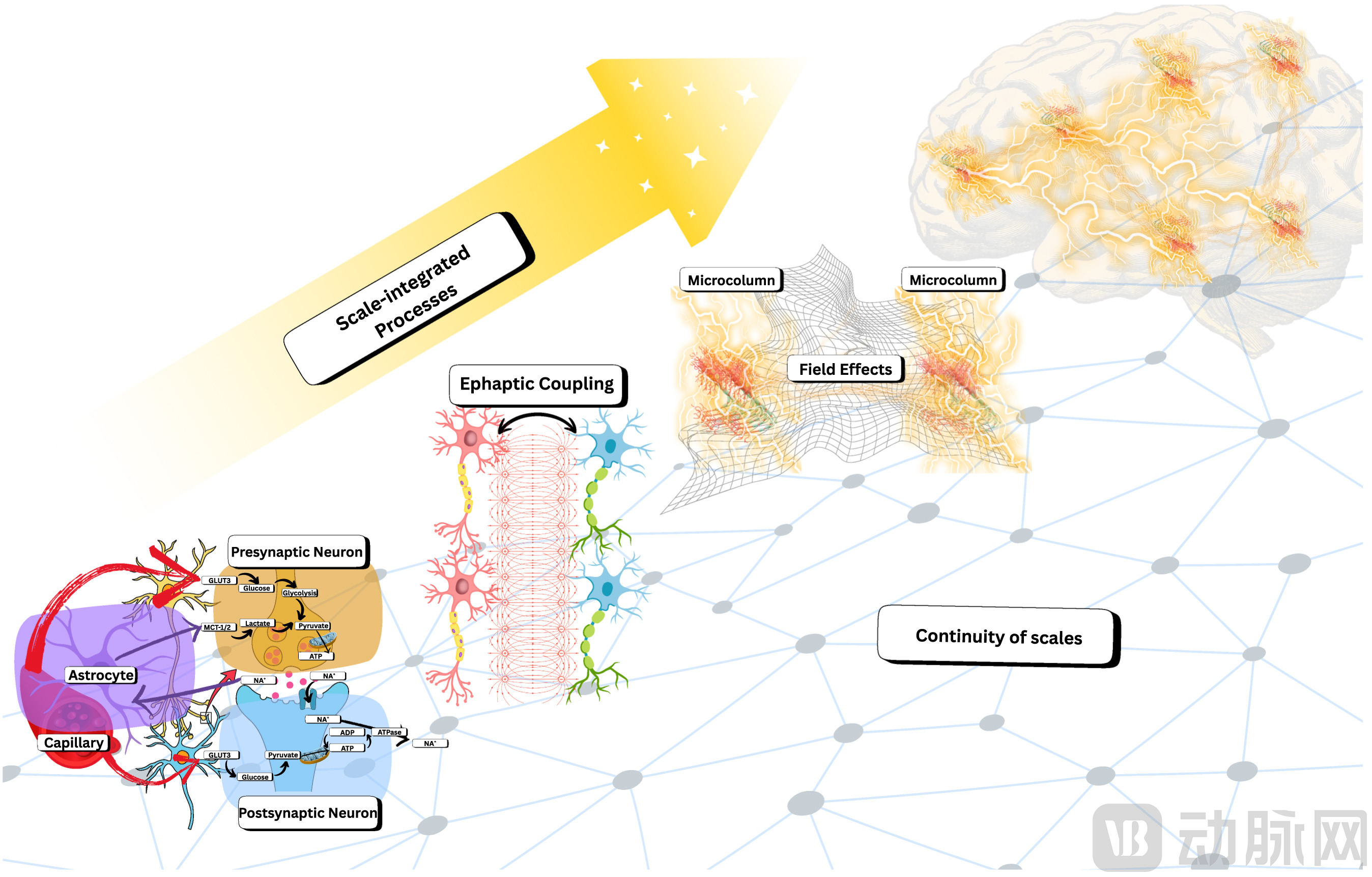 image - 2025-12-26T173853.136.png