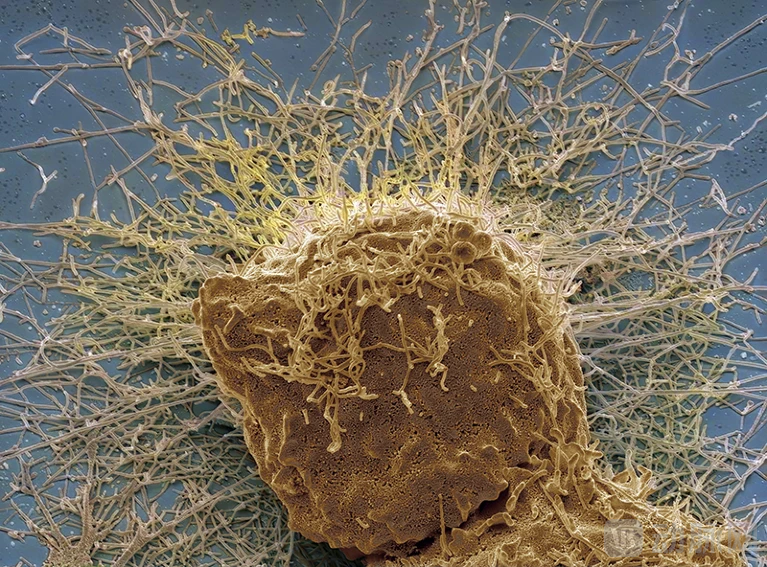 image - 2025-12-26T150058.427.png