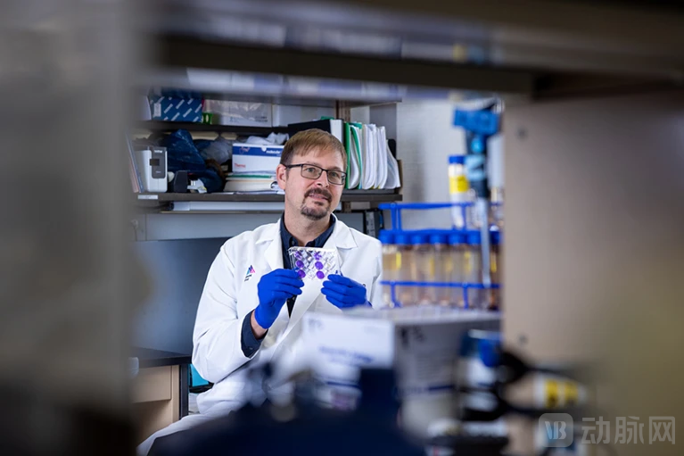 image - 2025-12-26T150100.749.png