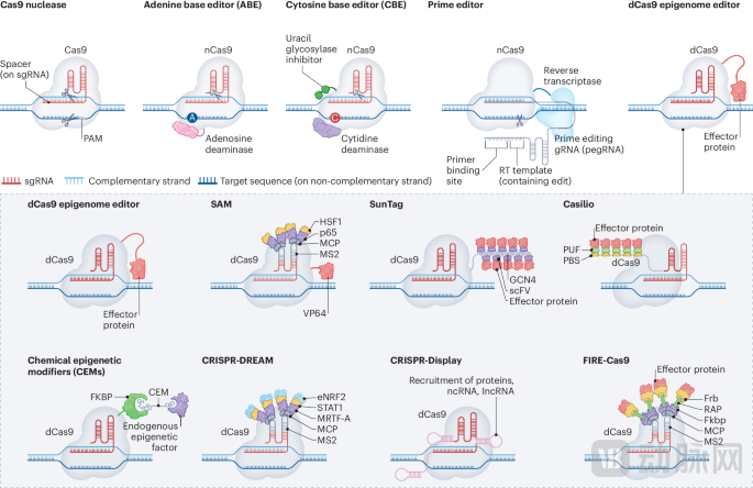 image - 2025-12-31T121305.388.png