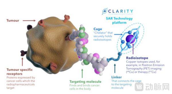 SAR技术平台原理 图源:Clariy官网 (1).jpg